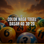 Colok Naga Togel untuk meningkatkan peluang menang